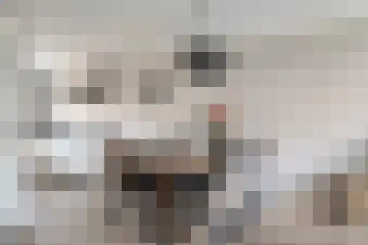 Reigerweide 50 Renswoude thumbnail 9