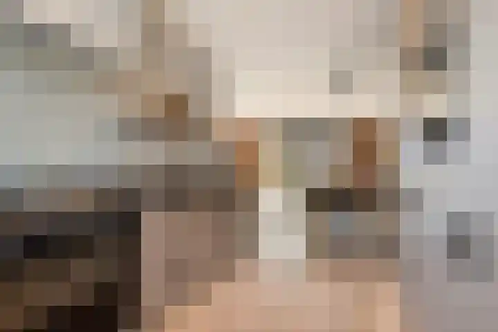 Reigerweide 6 Renswoude thumbnail 11