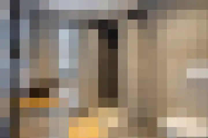 Reigerweide 6 Renswoude thumbnail 15