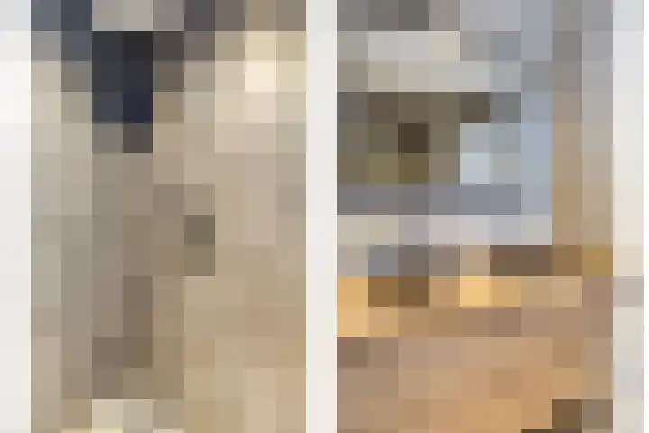 Reigerweide 6 Renswoude thumbnail 16