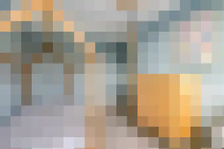Reigerweide 6 Renswoude thumbnail 18