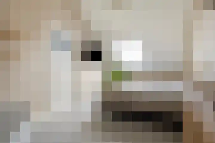 Reigerweide 6 Renswoude thumbnail 24