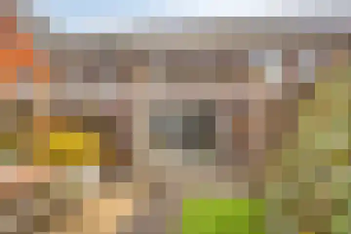 Reigerweide 6 Renswoude thumbnail 27