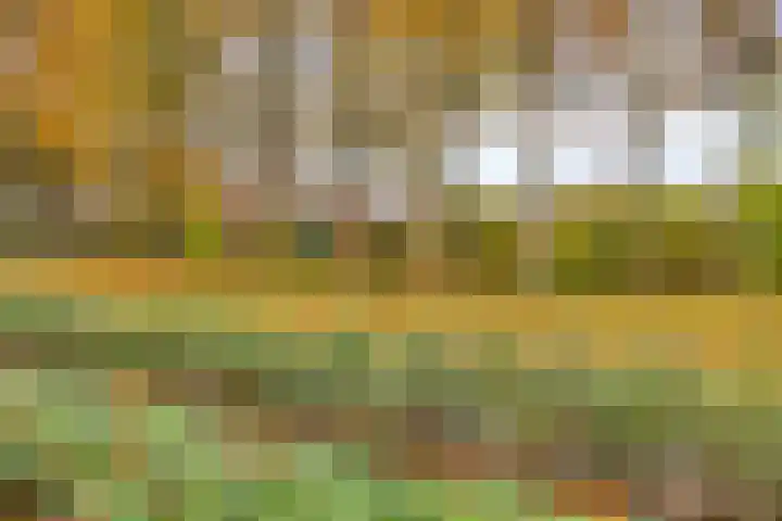 Reigerweide 6 Renswoude thumbnail 31