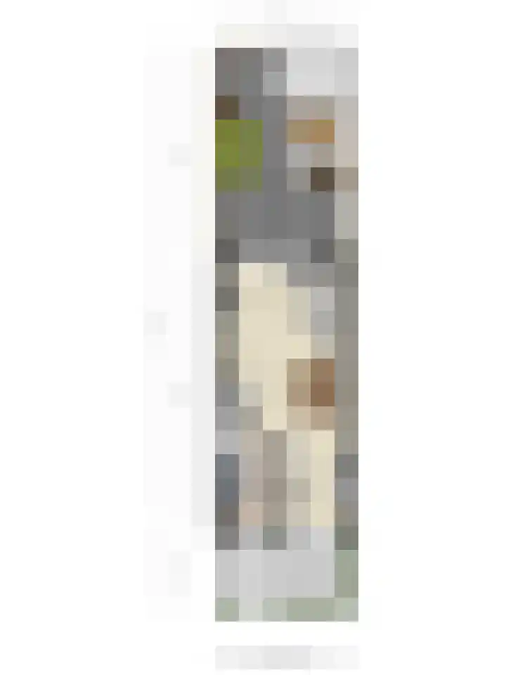 Reigerweide 6 Renswoude thumbnail 36