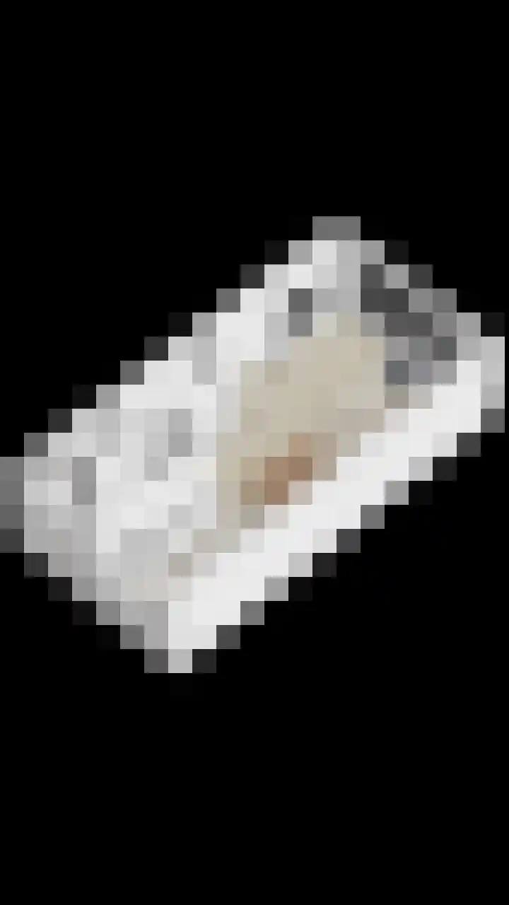 Reigerweide 6 Renswoude thumbnail 37