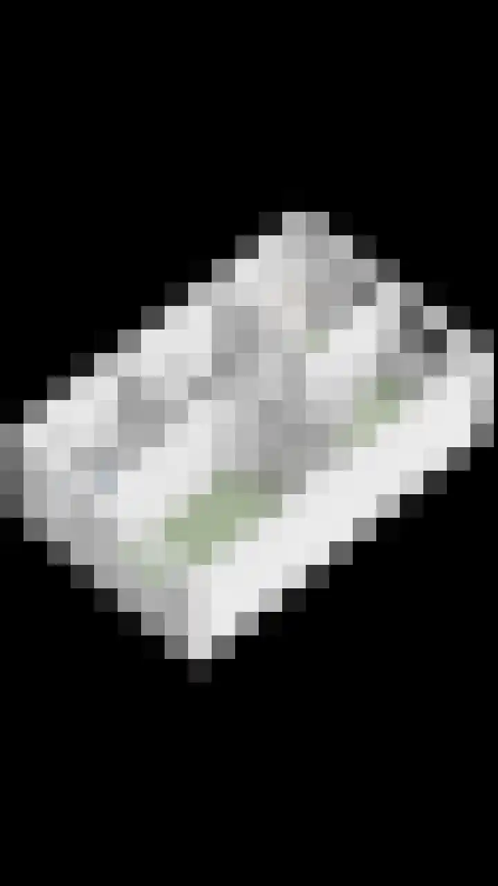 Reigerweide 6 Renswoude thumbnail 38