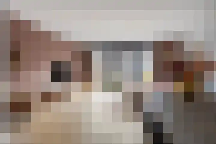 Reigerweide 6 Renswoude thumbnail 4