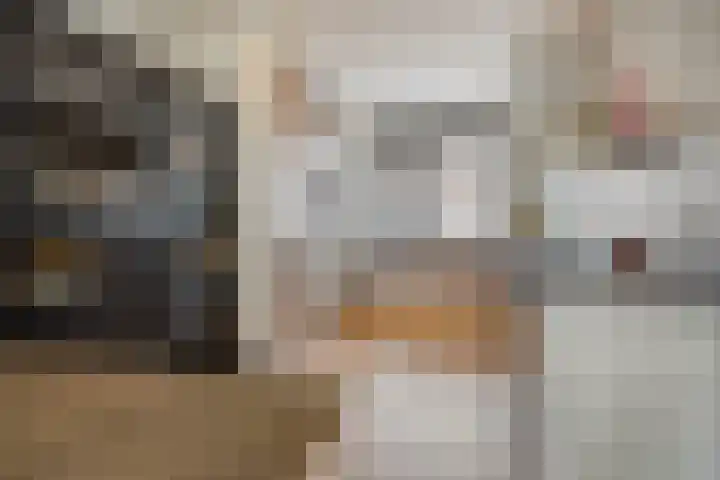 Reigerweide 6 Renswoude thumbnail 9