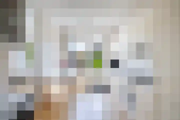 Reijdersant 1 Emmeloord thumbnail 12