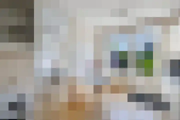 Reijdersant 1 Emmeloord thumbnail 13