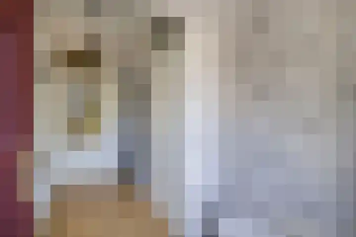 Reijdersant 1 Emmeloord thumbnail 16