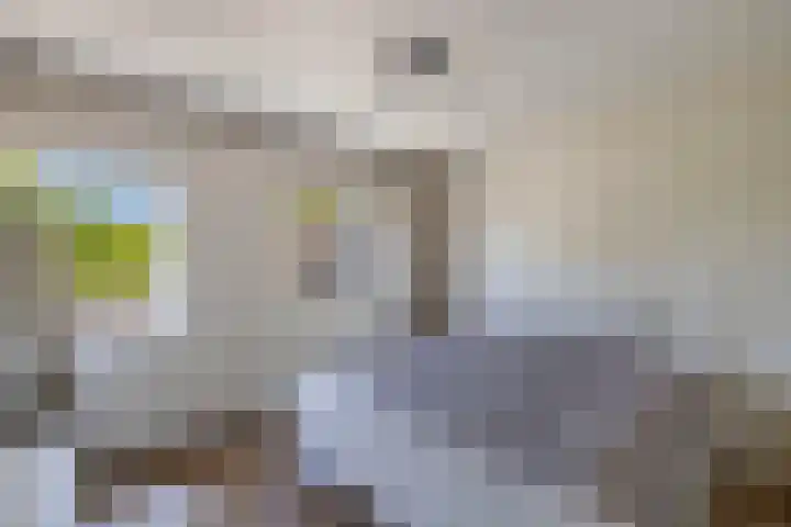 Reijdersant 1 Emmeloord thumbnail 17