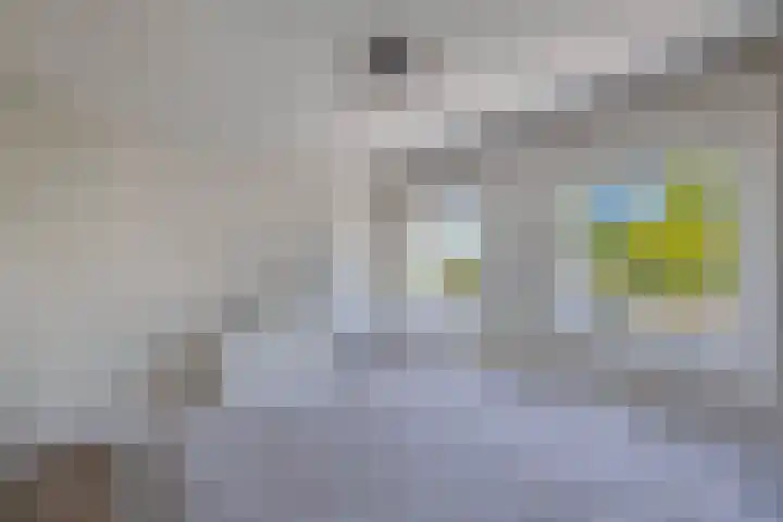 Reijdersant 1 Emmeloord thumbnail 18