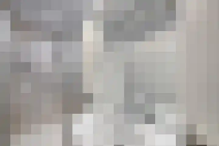 Reijdersant 1 Emmeloord thumbnail 23