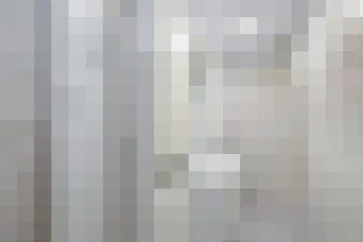 Reijdersant 1 Emmeloord thumbnail 25