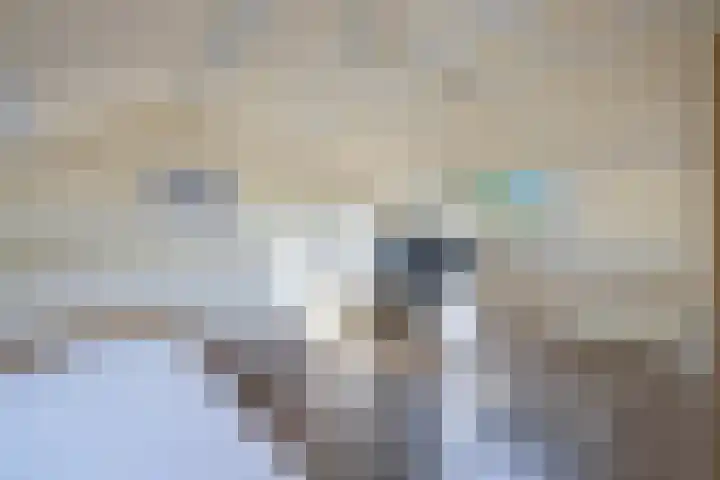 Reijdersant 1 Emmeloord thumbnail 27