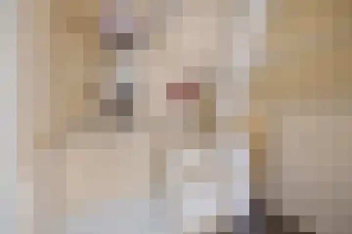Reijdersant 1 Emmeloord thumbnail 31