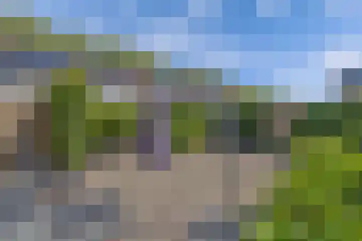 Reijdersant 1 Emmeloord thumbnail 33
