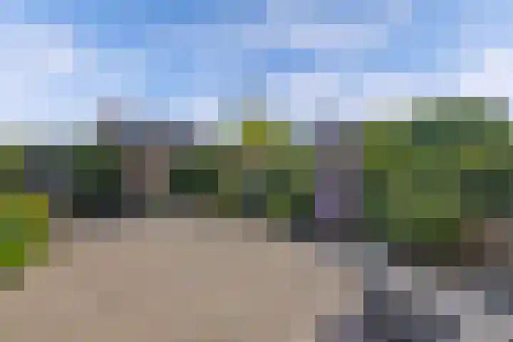 Reijdersant 1 Emmeloord thumbnail 34