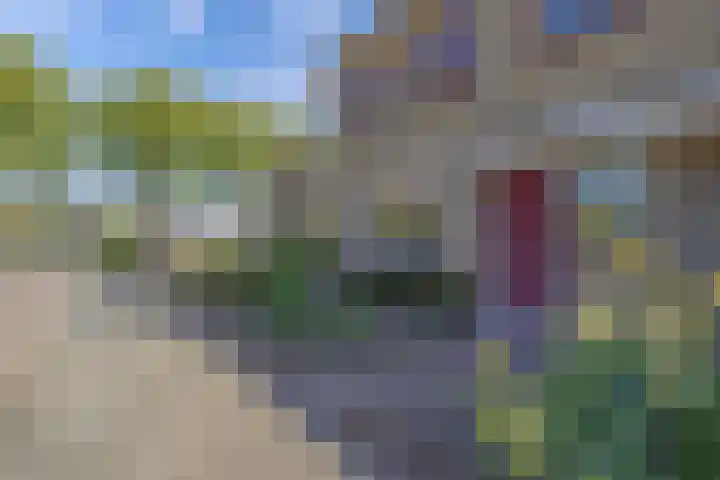 Reijdersant 1 Emmeloord thumbnail 38