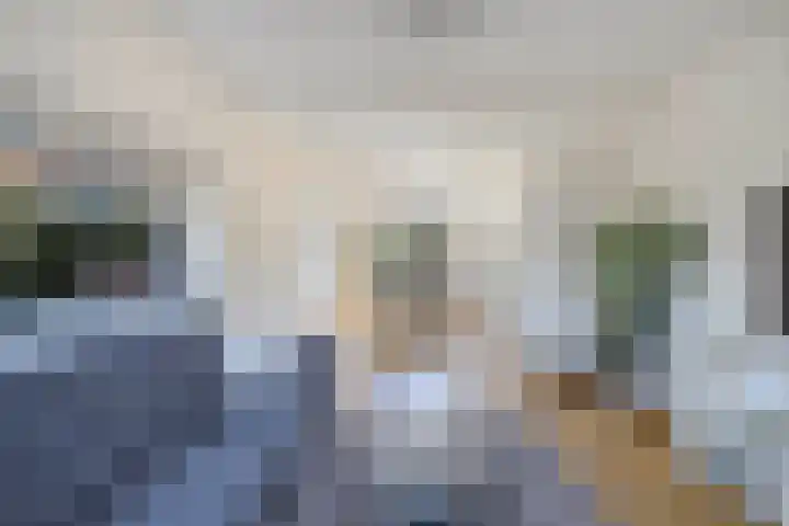 Reijdersant 1 Emmeloord thumbnail 4