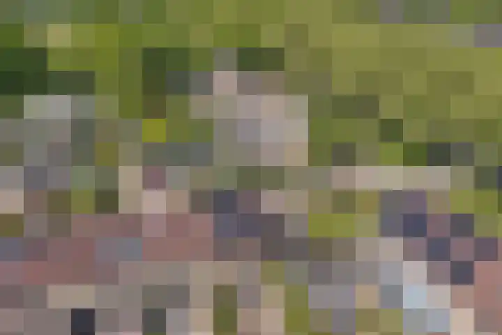Reijdersant 1 Emmeloord thumbnail 43