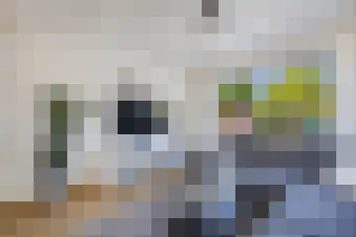 Reijdersant 1 Emmeloord thumbnail 5
