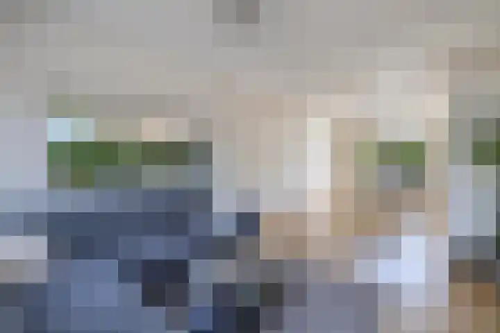 Reijdersant 1 Emmeloord thumbnail 6