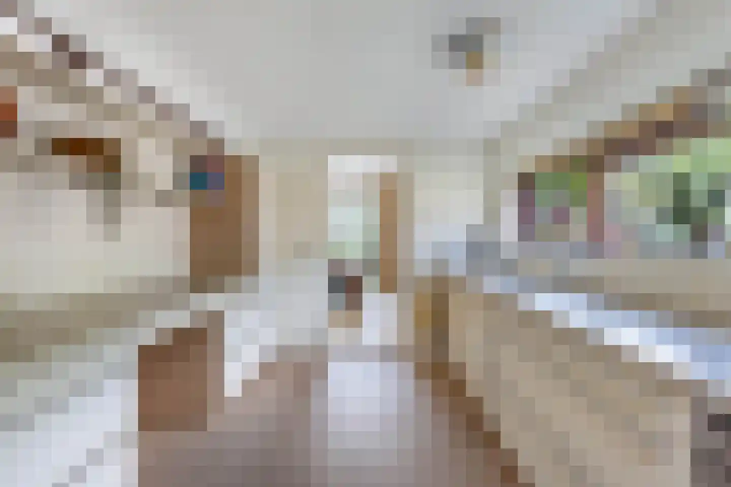 Reijdersant 2 Emmeloord thumbnail 12