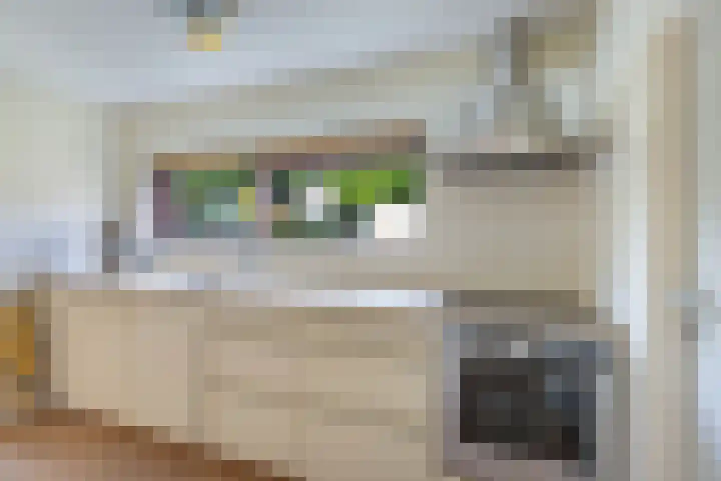 Reijdersant 2 Emmeloord thumbnail 14