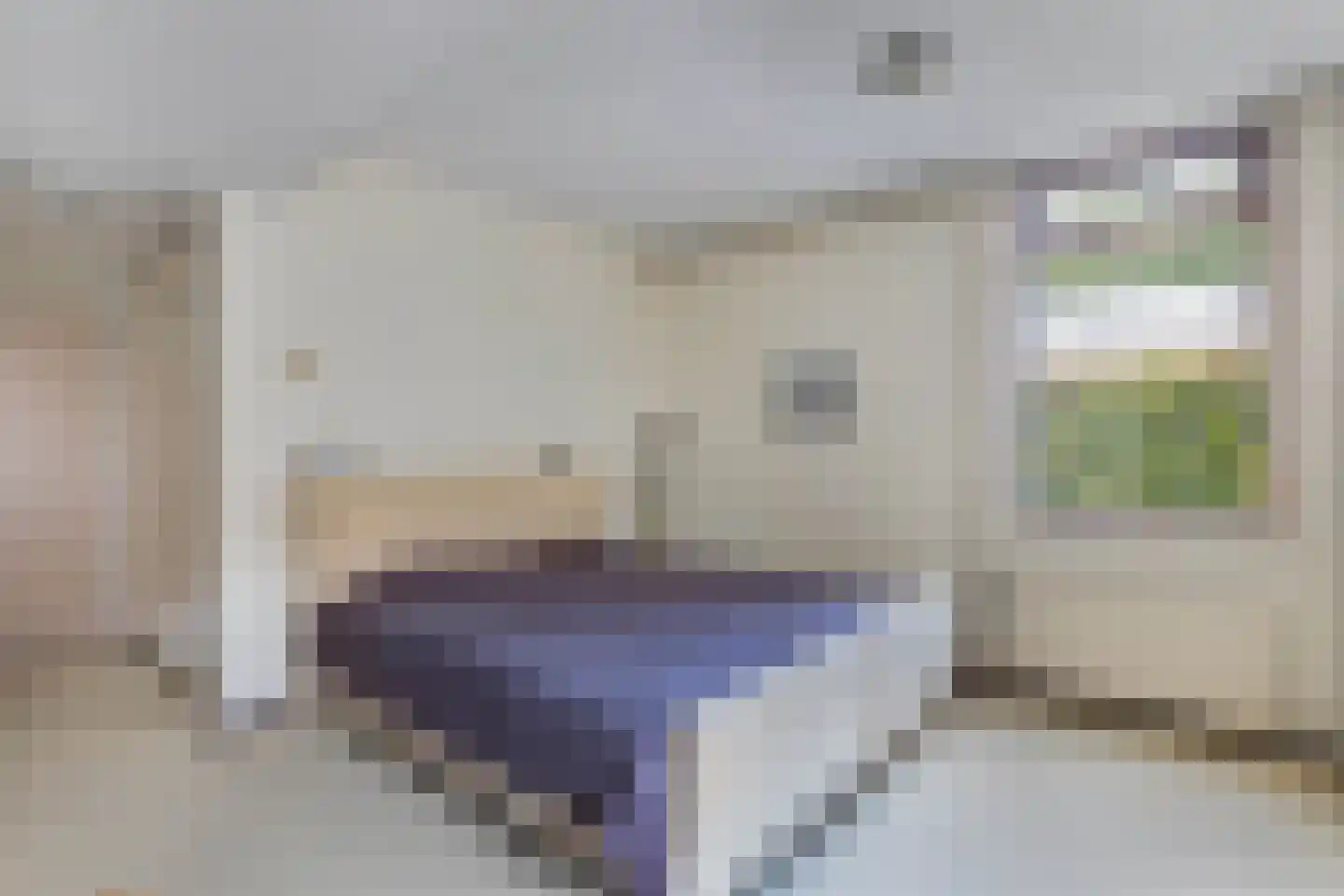 Reijdersant 2 Emmeloord thumbnail 26
