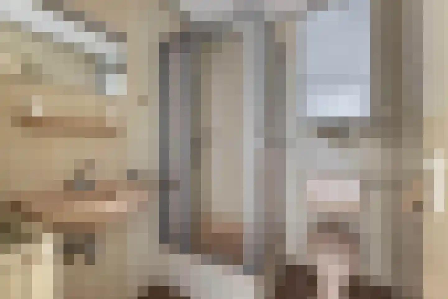 Reijdersant 2 Emmeloord thumbnail 27