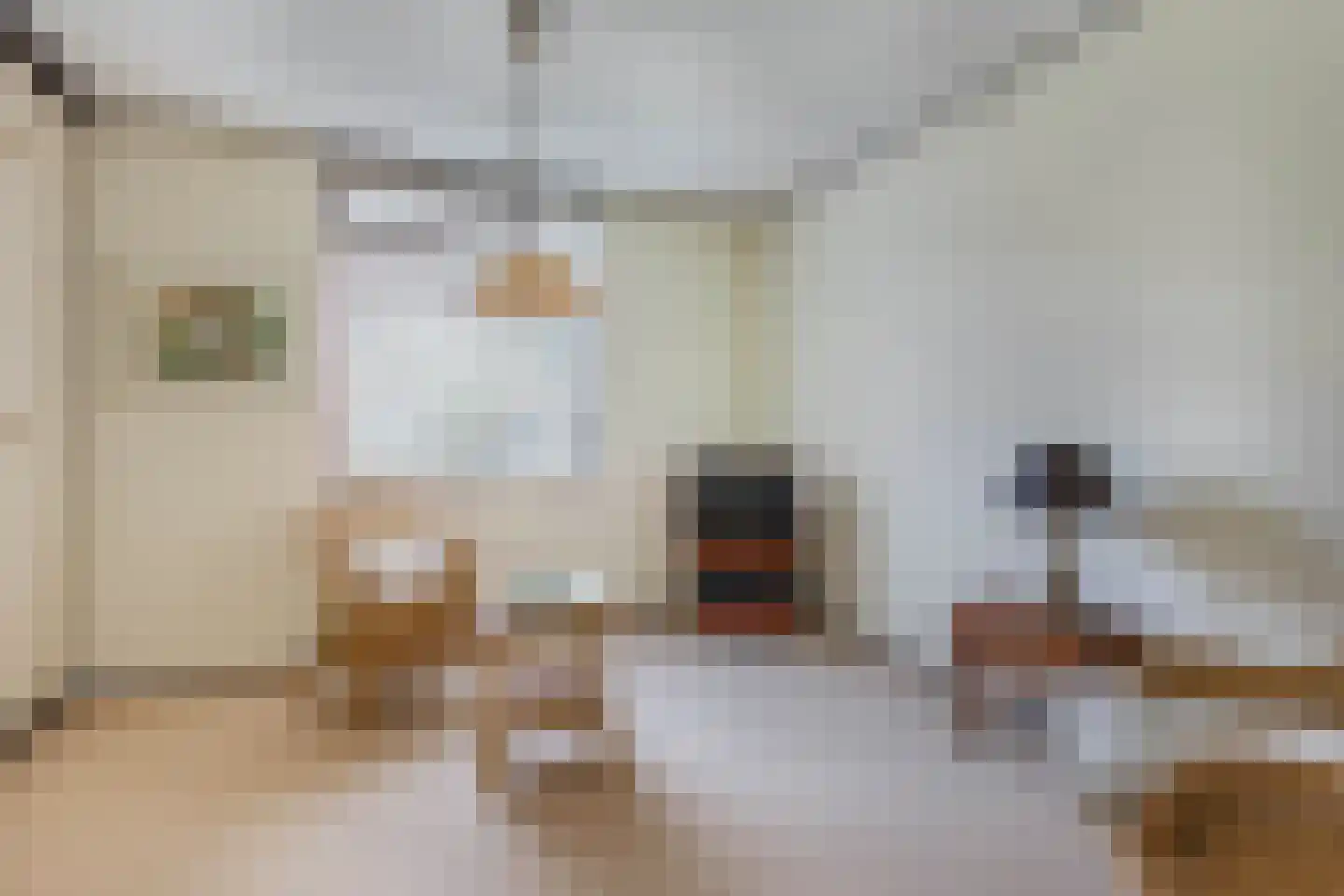 Reijdersant 2 Emmeloord thumbnail 28