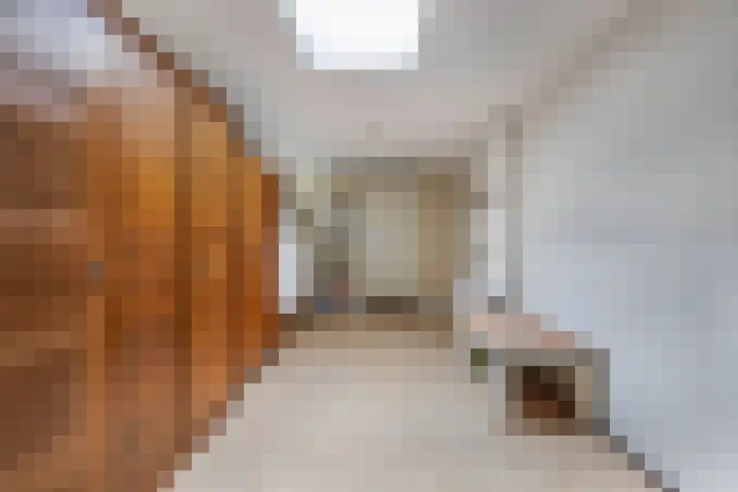 Reijdersant 2 Emmeloord thumbnail 30