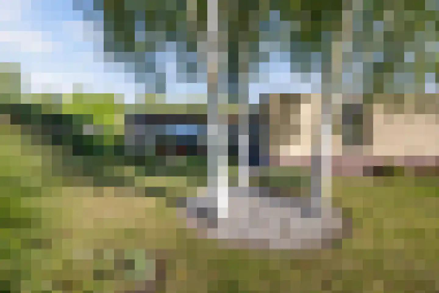 Reijdersant 2 Emmeloord thumbnail 38