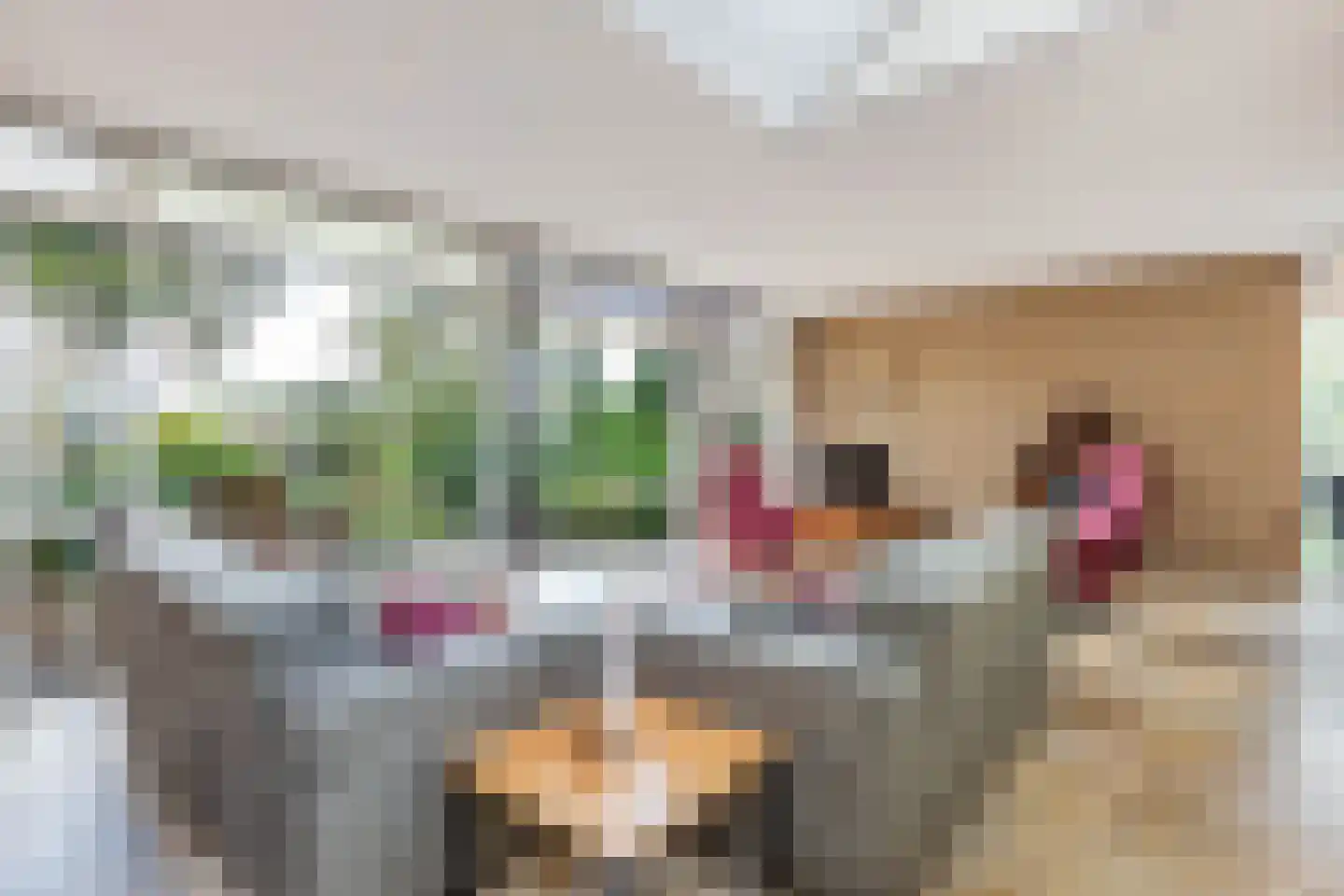 Reijdersant 2 Emmeloord thumbnail 5