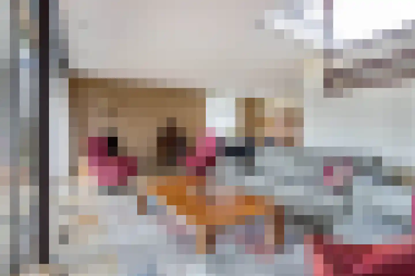 Reijdersant 2 Emmeloord thumbnail 6