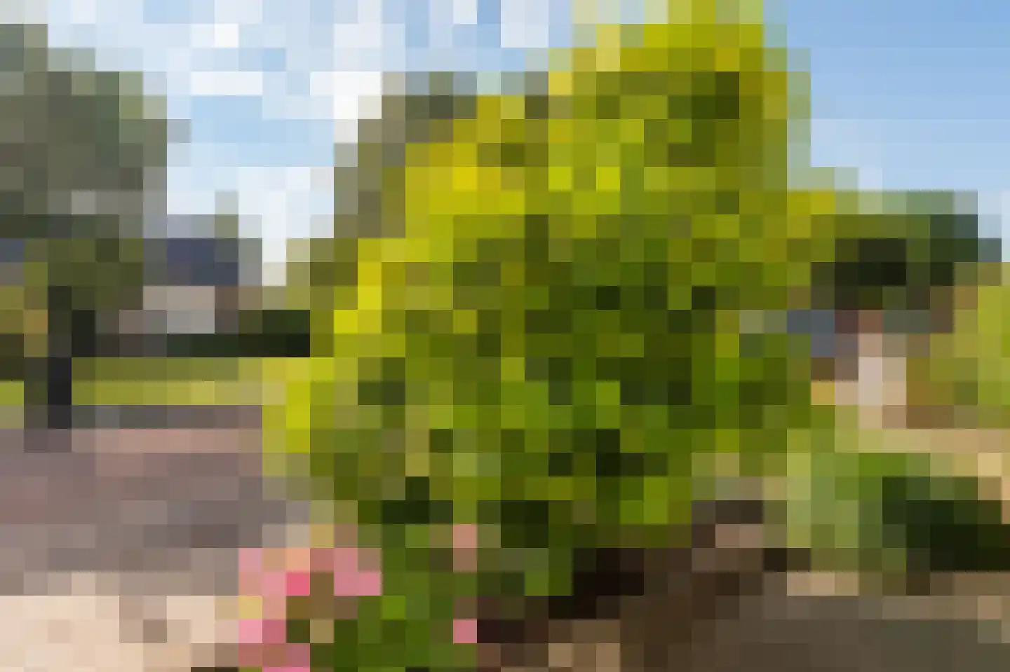 Reijdersant 24 Emmeloord thumbnail 12