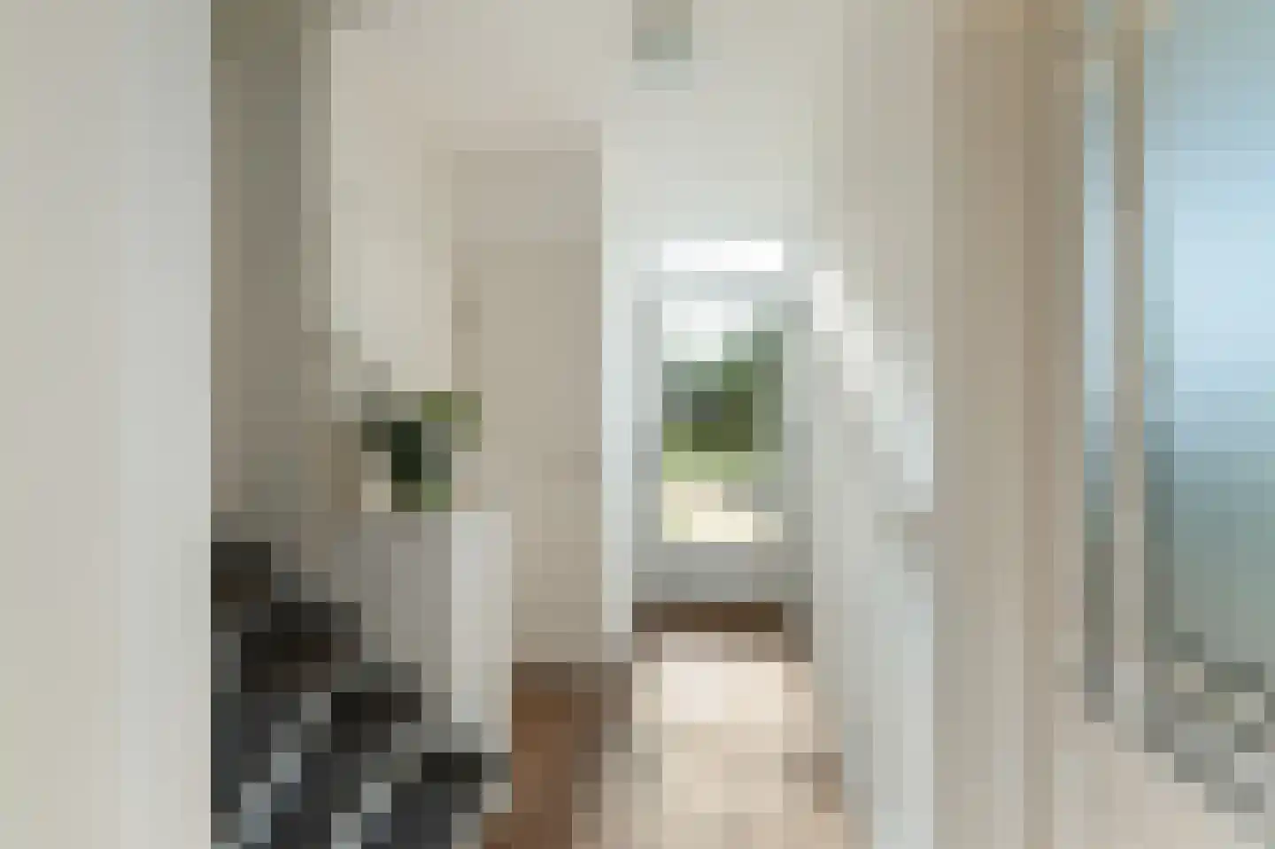 Reijdersant 24 Emmeloord thumbnail 13