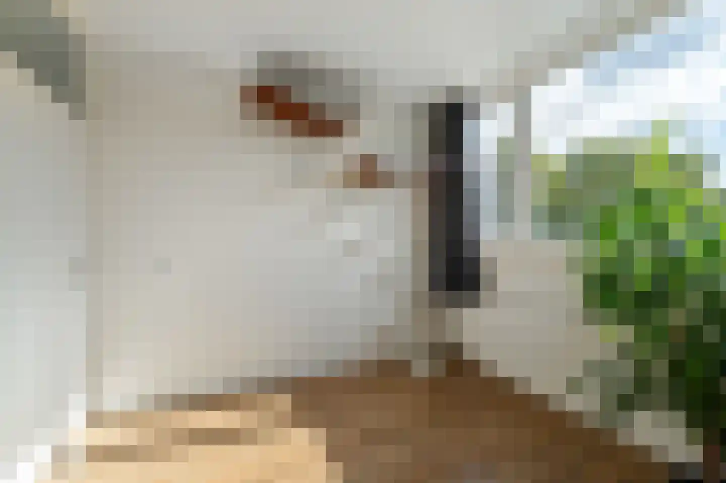 Reijdersant 24 Emmeloord thumbnail 36