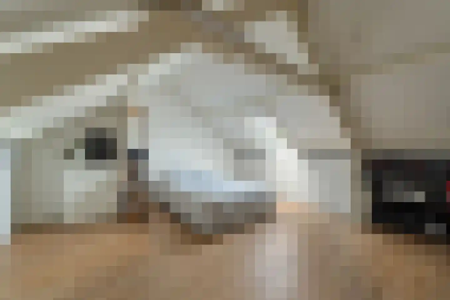 Reijdersant 24 Emmeloord thumbnail 44