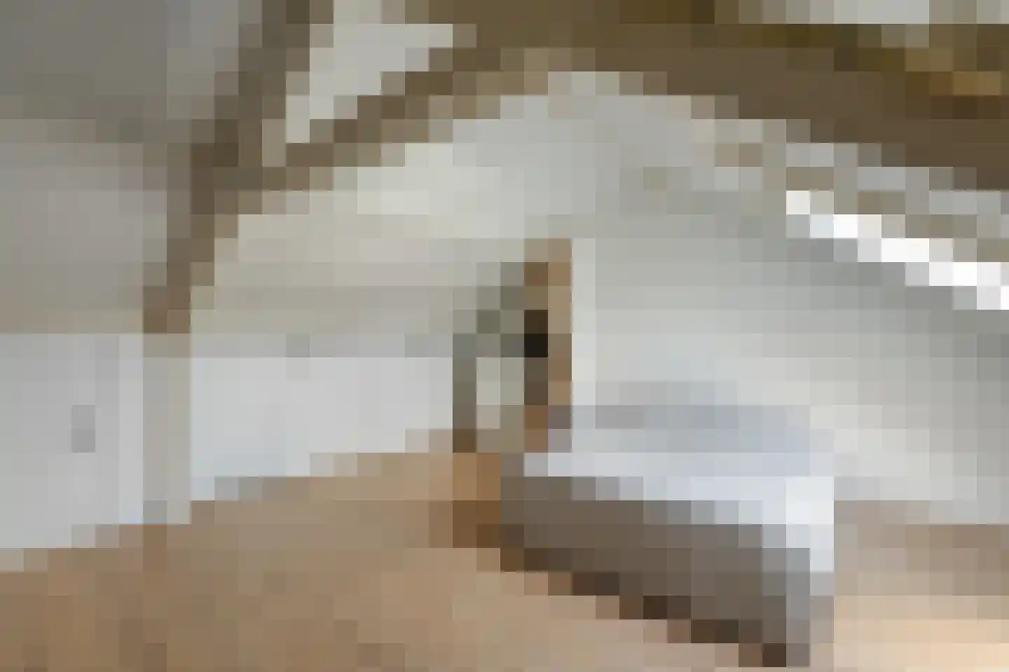 Reijdersant 24 Emmeloord thumbnail 45