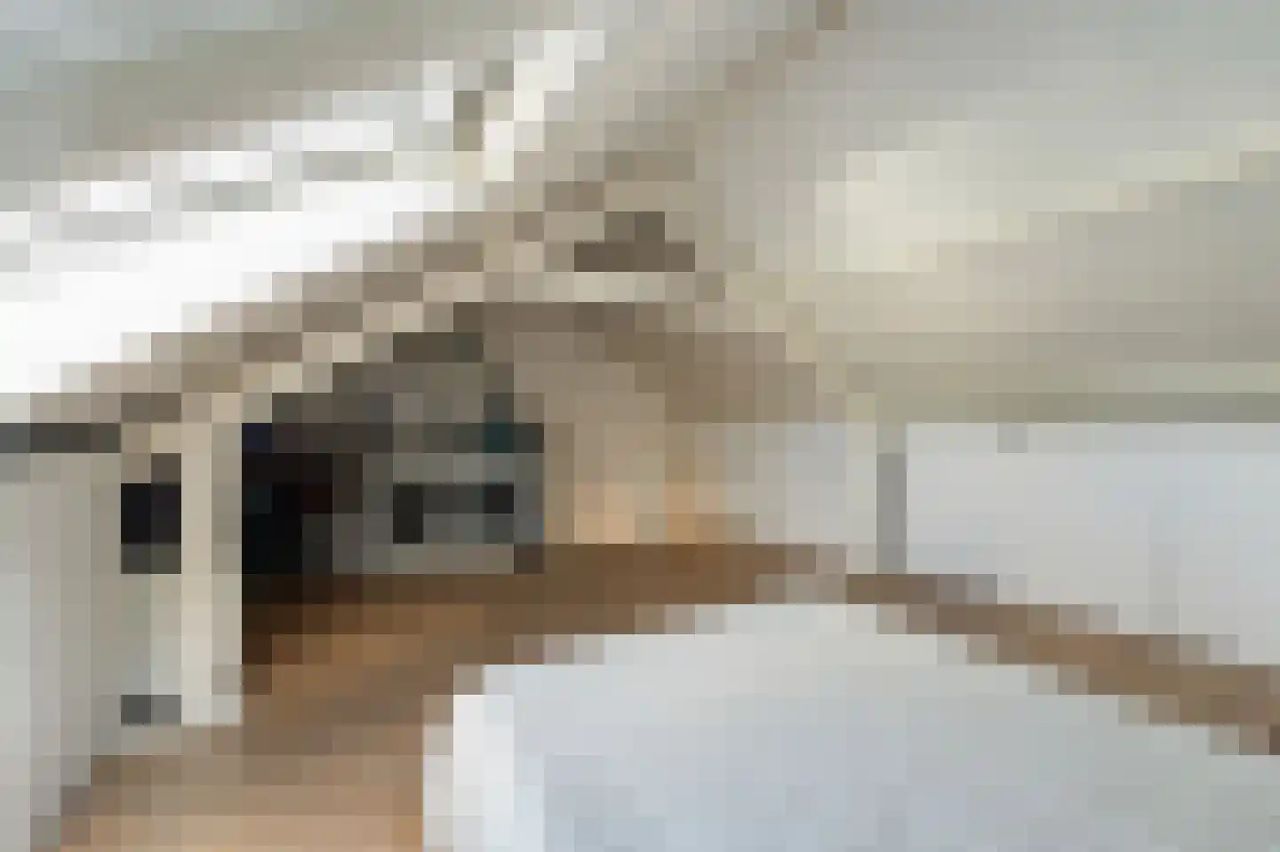 Reijdersant 24 Emmeloord thumbnail 46
