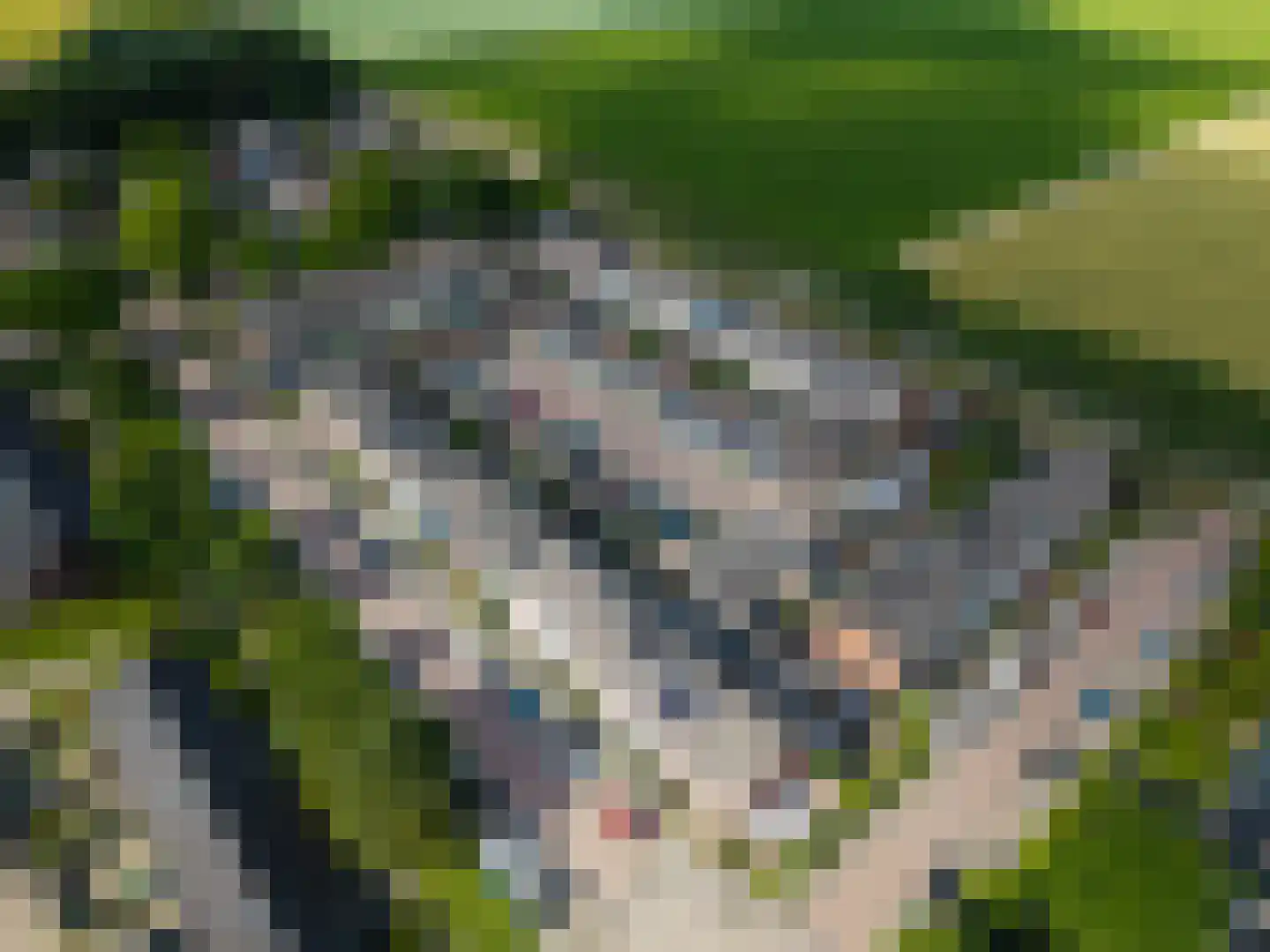 Reijdersant 24 Emmeloord thumbnail 7