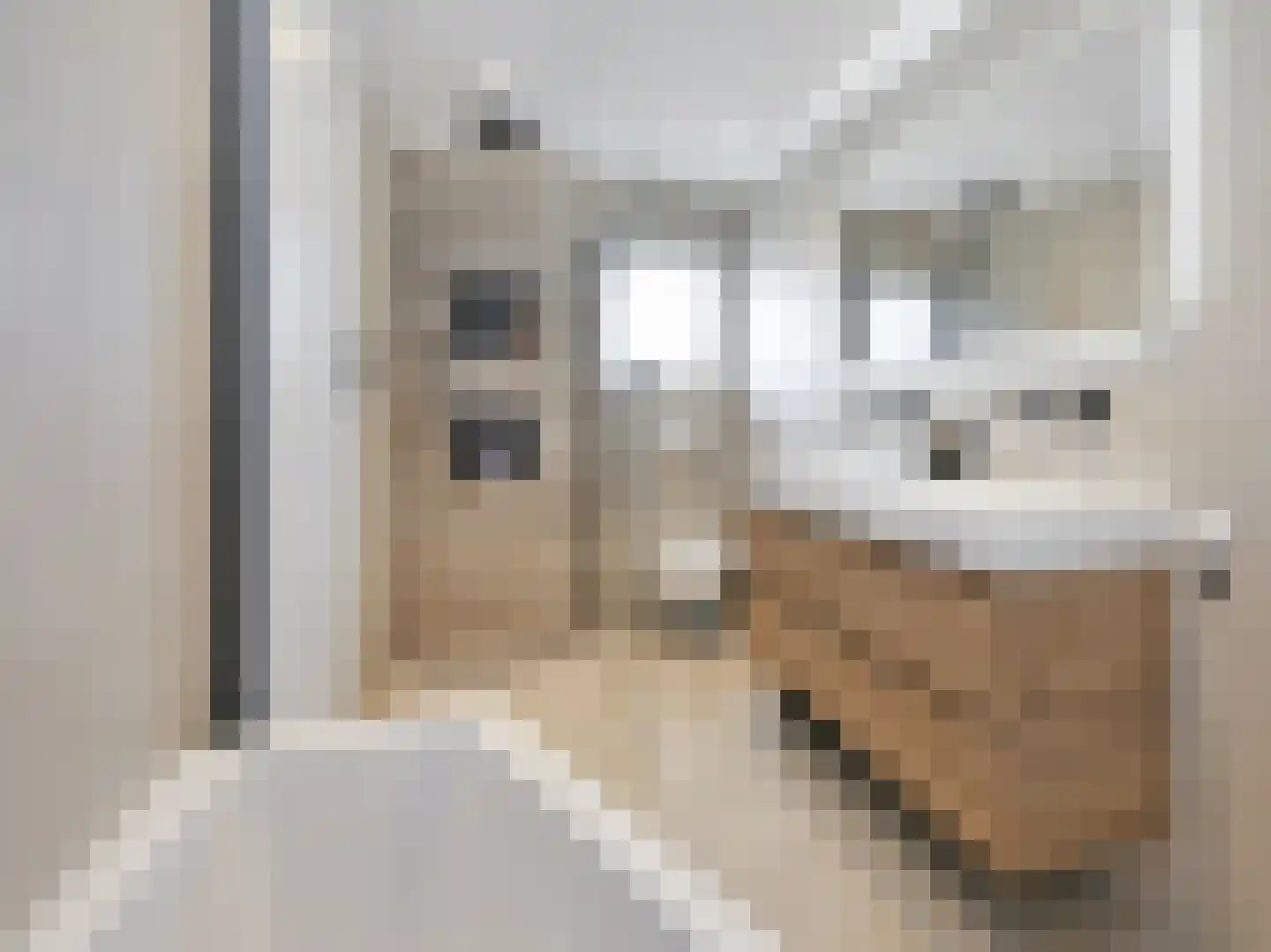Reijer Anslostraat 29 Haarlem thumbnail 31