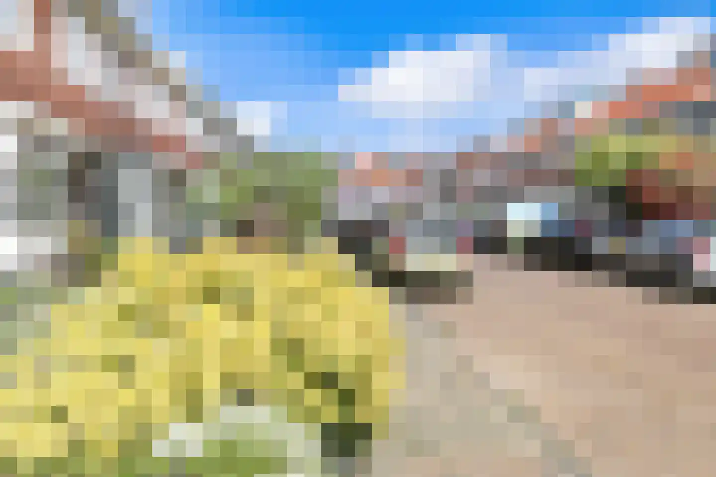 Reijer Anslostraat 29 Haarlem thumbnail 39