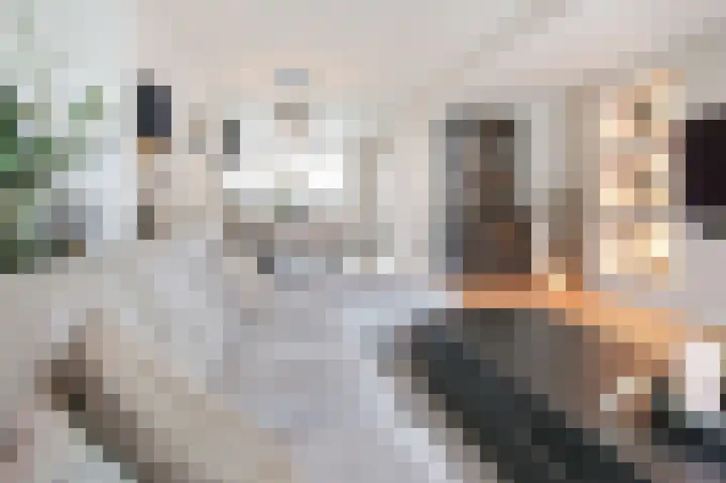 Reijer Anslostraat 29 Haarlem thumbnail 6