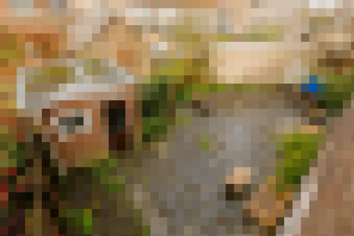 Reijer Anslostraat 53 Haarlem thumbnail 30