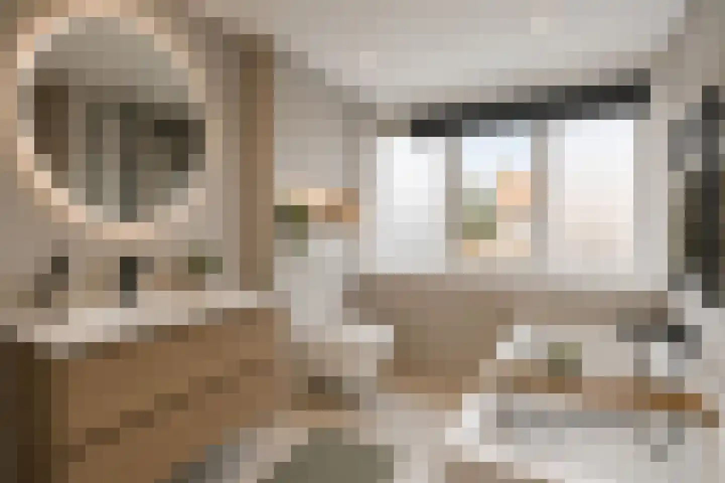 Reijer Anslostraat 53 Haarlem thumbnail 32